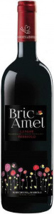 Bric Amel Nebbiolo Langhe Rosso 